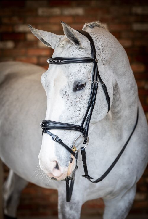 LeMieux Kudos Competition Flash Bridle - Black