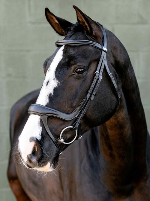 LeMieux Arika Split Noseband Bridle - Black/Silver