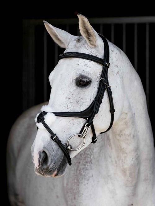 LeMieux Kudos Grackle Work Bridle - Black