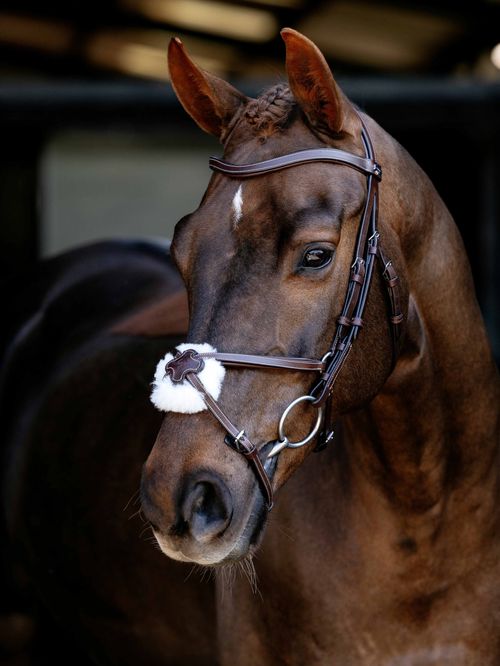 LeMieux Arika Grackle Bridle - Havana/Silver