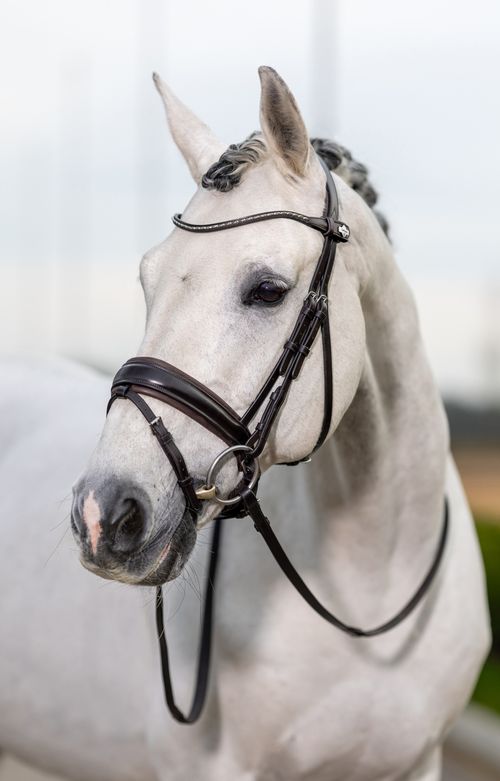 LeMieux Kudos Classic Dressage Bridle - Brown