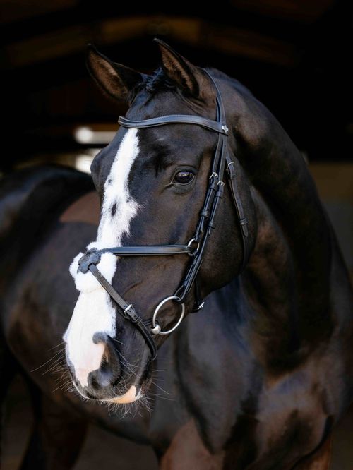 LeMieux Arika Grackle Bridle - Black/Silver