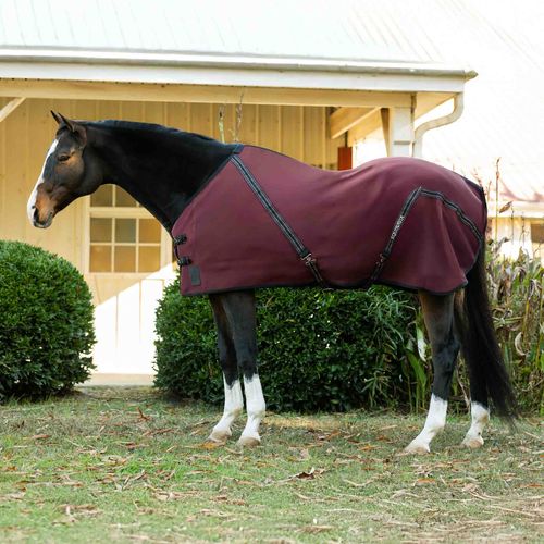 Equinavia Fryd Cotton Stable Sheet - Burgundy
