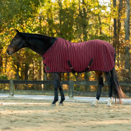 Equinavia Luftig Waffle Cooler - Burgundy/Black