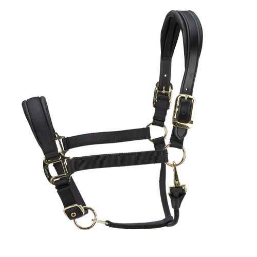 Shires ARMA Premium Nylon Halter w/Leather Padding - Black