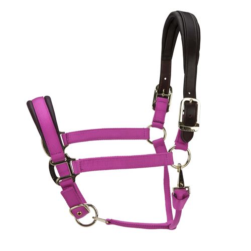 Shires ARMA Premium Nylon Halter w/Leather Padding - Raspberry