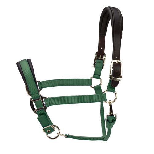 Shires ARMA Premium Nylon Halter w/Leather Padding - Hunter