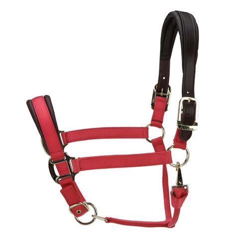 Shires ARMA Premium Nylon Halter w/Leather Padding - Red