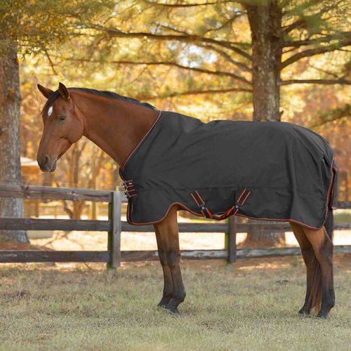Horze Cairo Infrared Therapy Turnout Sheet - Black