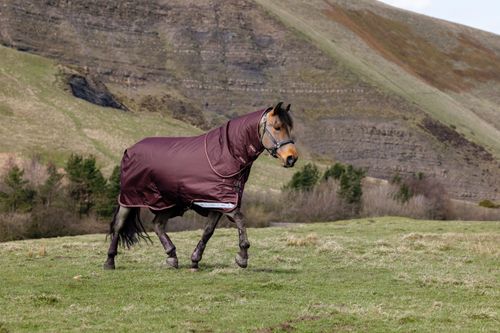 LeMieux Arika 600D Ripstop 0g Turnout Blanket - Bramble