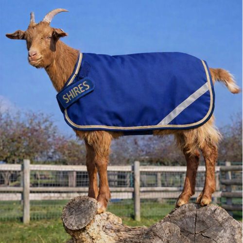 Shires Tempest Goat Rug 100 - Navy