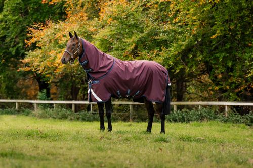Amigo Bravo 12 Plus Turnout 400g - Burgundy/Navy/Titanium Grey