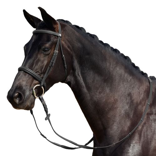 Dublin Padded Cavesson Bridle - Black
