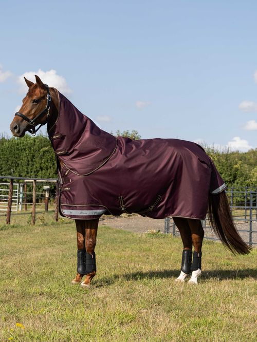 LeMieux Arika 600D Ripstop 200g Turnout Blanket - Bramble