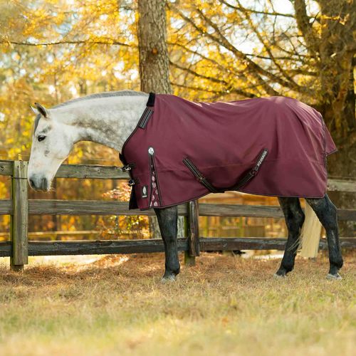 Equinavia Norse Fleece Lined Turnout Blanket - Burgundy