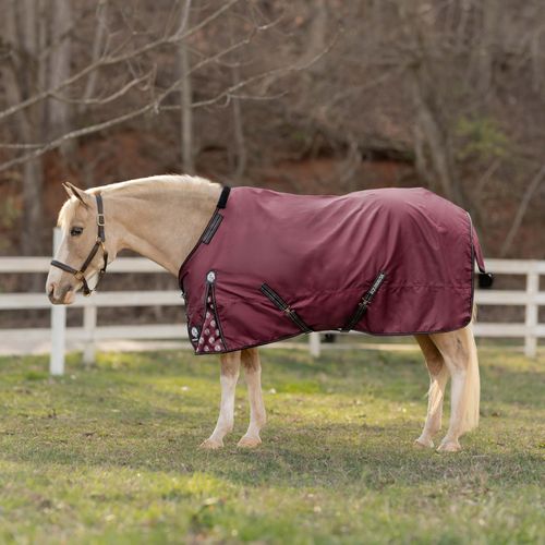 Equinavia Norse Pony Turnout Blanket 200g - Burgundy