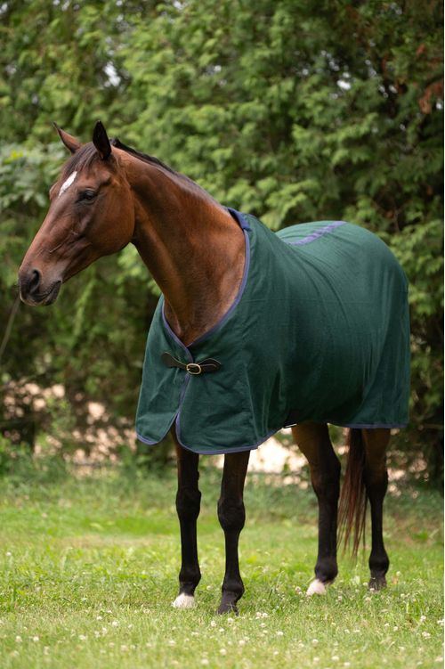 Ovation Wool Cooler - Hunter