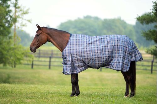 Ovation 1200D Turnout Blanket 300g - Smoke Blue Plaid