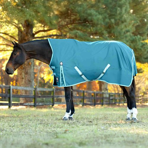 Equinavia Arktis Extended Neck Heavy Weight Turnout Blanket 300g - Lyons Blue