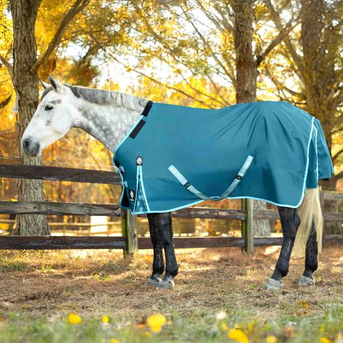 Equinavia Arktis Regular Neck Light Weight Turnout Blanket 100g - Lyons Blue