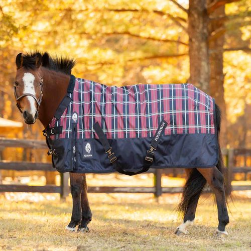 Equinavia Norse Pony Turnout Blanket 300g - Navy/Burgundy