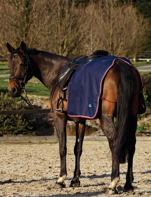 Weatherbeeta Waterproof Fleece Quarter Sheet - Navy/Burgundy