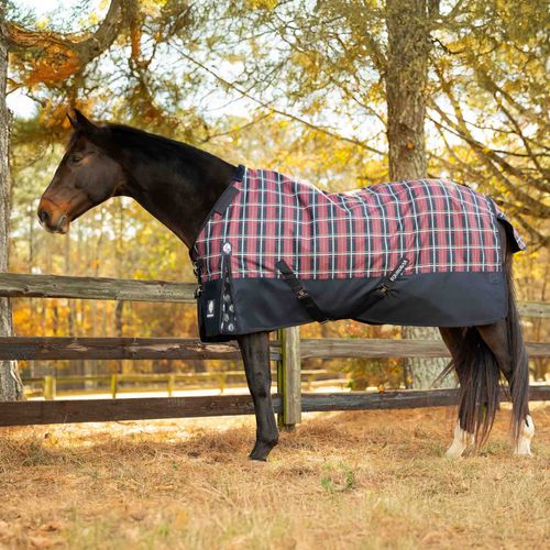 Equinavia Norse Heavy Weight Turnout Blanket 300g - Navy/Burgundy