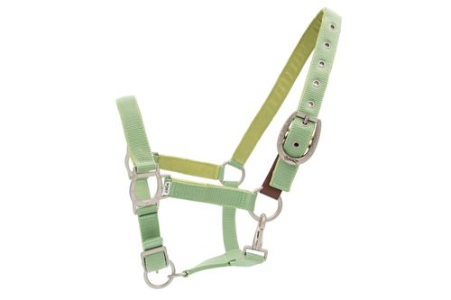 Ovation Lucky Adjustable Breakaway Halter - Cactus