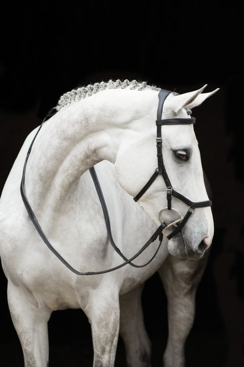 Rambo Micklem Original Competition Bridle - Black