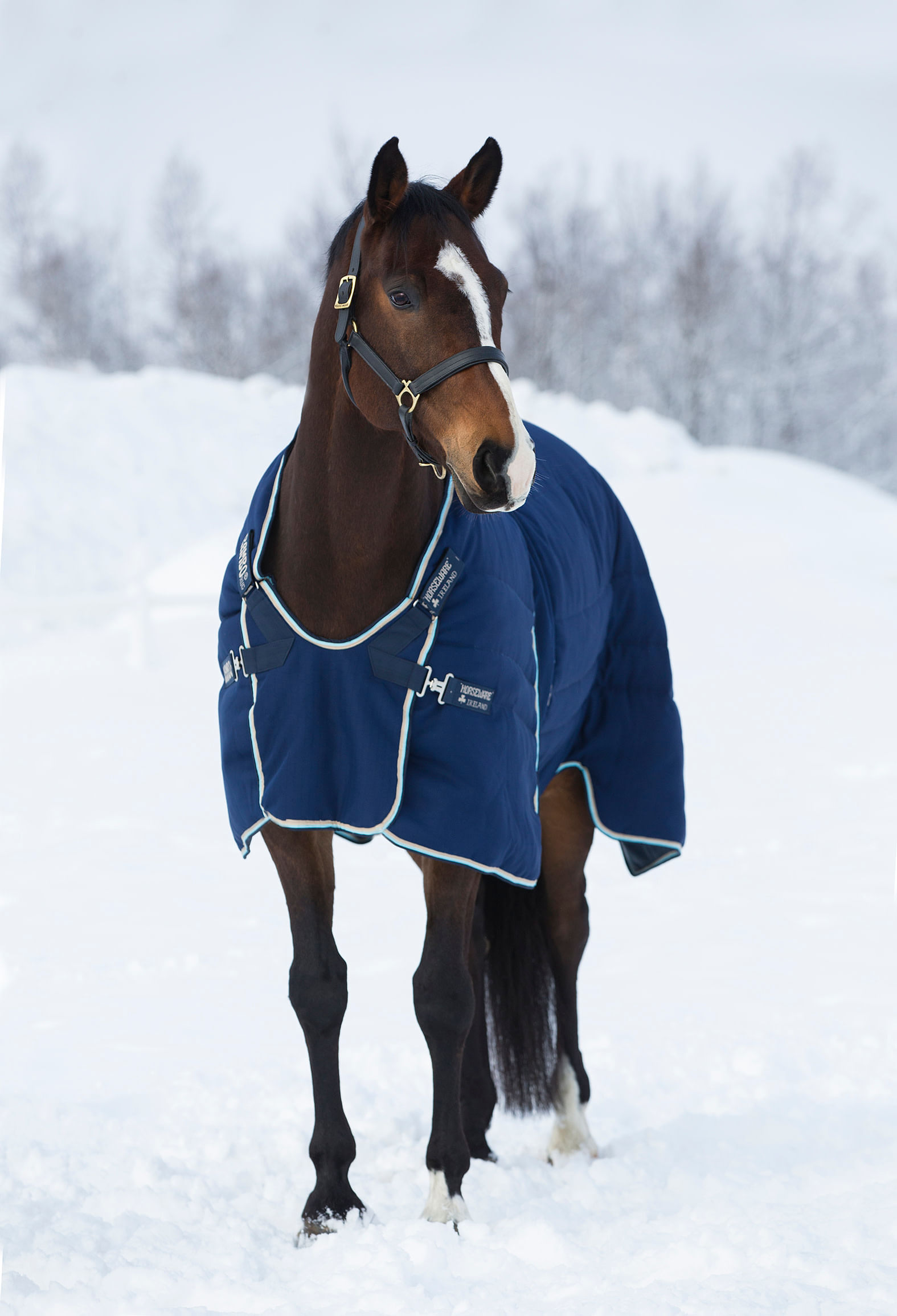 Rambo Optimo Stable Blanket 400g Navy/Beige/Blue/Navy RamboABAF63