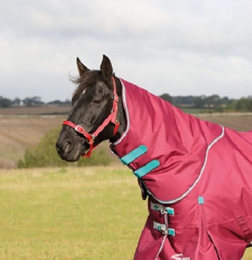 Shires Highlander Plus 300G Neck Cover - Raspberry