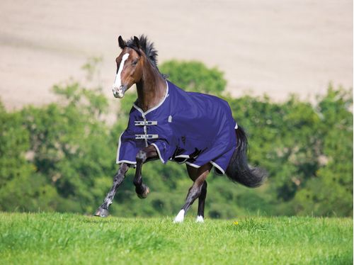 Shires Highlander Plus Lite Standard Neck Turnout - Navy