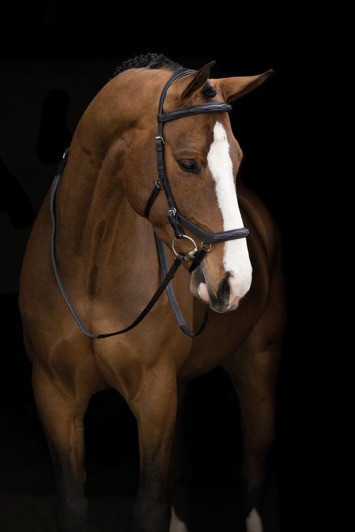Rambo Micklem Original English Leather Deluxe Competition Bridle - Black
