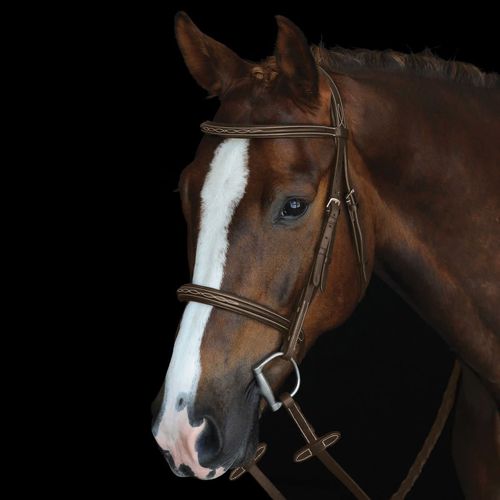 Collegiate Mono Crown Fancy Stitched Raised Cavesson Bridle - Brown