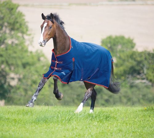 Shires Highlander Plus 300G Standard Neck Turnout - Navy