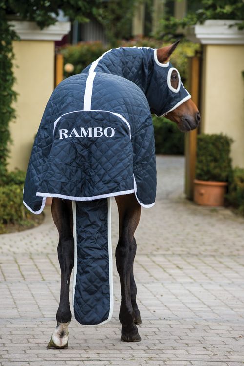 Rambo Show Set Stable Blanket 100g - Navy/White