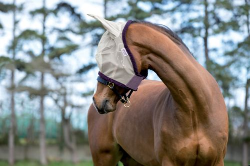 Amigo Finemesh Fly Mask - Silver/Plum