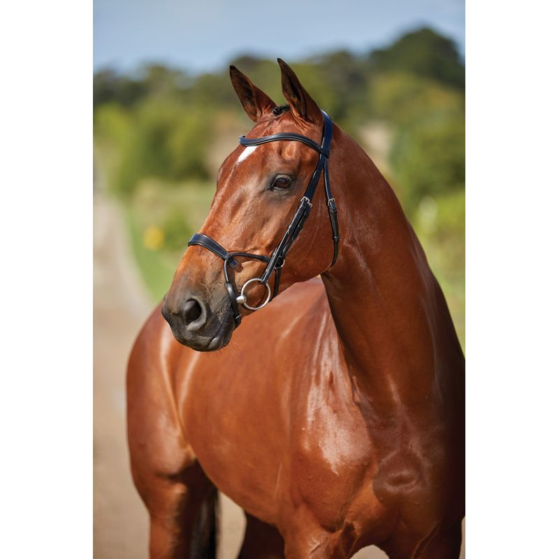 Collegiate Comfitec Training Bridle