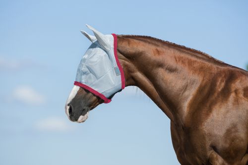 Amigo Fly Mask - Baby Blue/Pink