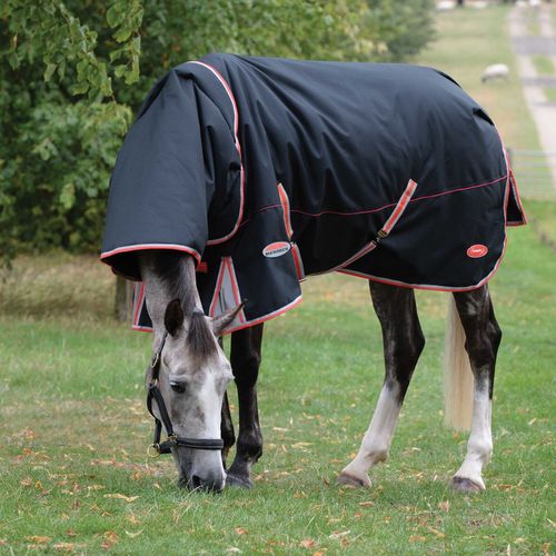 Weatherbeeta Comfitec Premier With Therapy-Tec Detach-A-Neck Medium - Black/Silver/Red