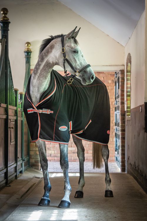 Weatherbeeta Therapy-Tec Fleece Standard Neck - Black/Silver/Red