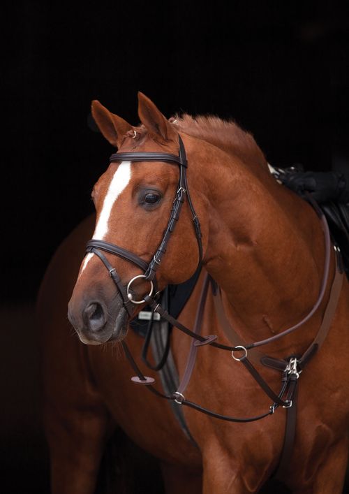Amigo Leather Bridle - Brown
