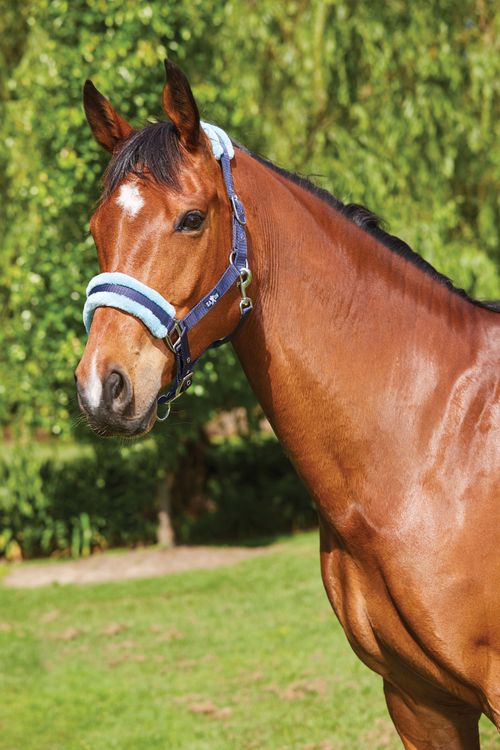 Saxon Element Fleece Headcollar - Navy/Blue