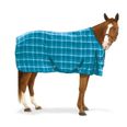 Turquoise Plaid