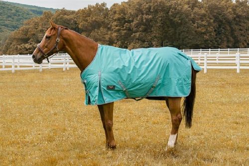 TuffRider 600 D Comfy Turnout Blanket - Turquoise