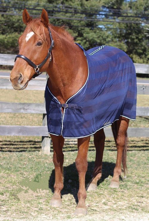 TuffRider Scrim Sheet - Navy