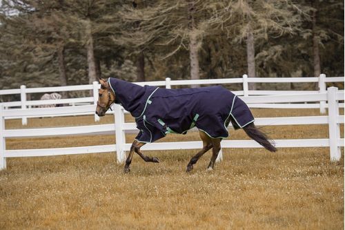 TuffRider All Season Blanket - Navy