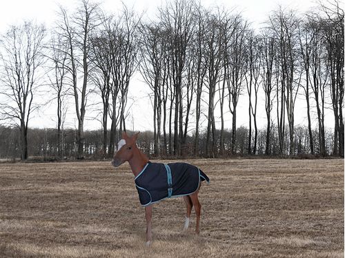 TuffRider 1200D Ripstop Foal Adjustable Turnout Blanket - Black