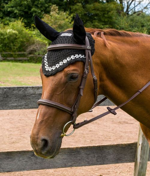 Equine Couture Floral Fly Bonnet - Black