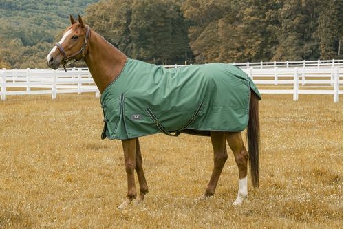TuffRider 600 D Comfy Turnout Blanket - Hunter